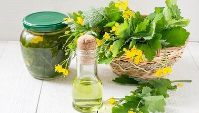 Celandine soup for treating nail fungi